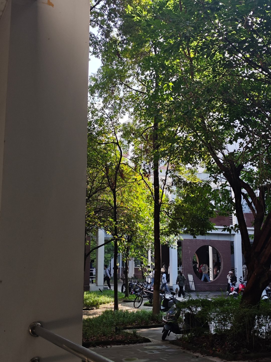 校园摄影日常：用镜头捕捉校园的美好 - 轻松拍出专业级校园照片