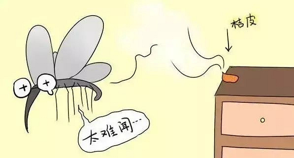 宿舍驱蚊攻略：夏天不被蚊子咬的妙招，告别嗡嗡声安心睡整晚