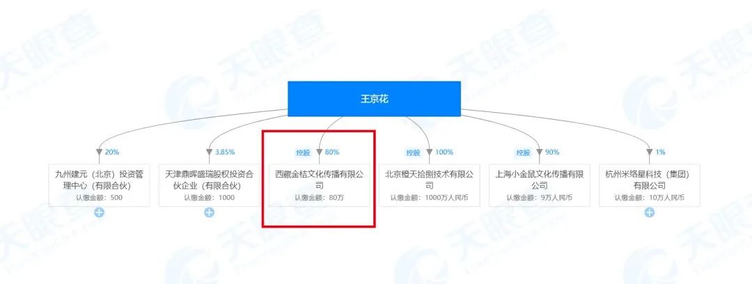 教育类公司经营范围全解析：如何精准规划业务版图，避免违规风险
